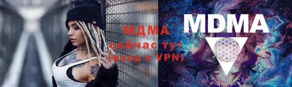 мдпв Бородино