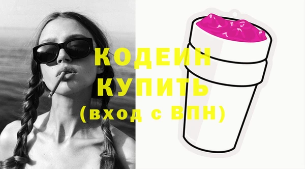 мдпв Бородино