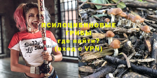 бошки Беломорск
